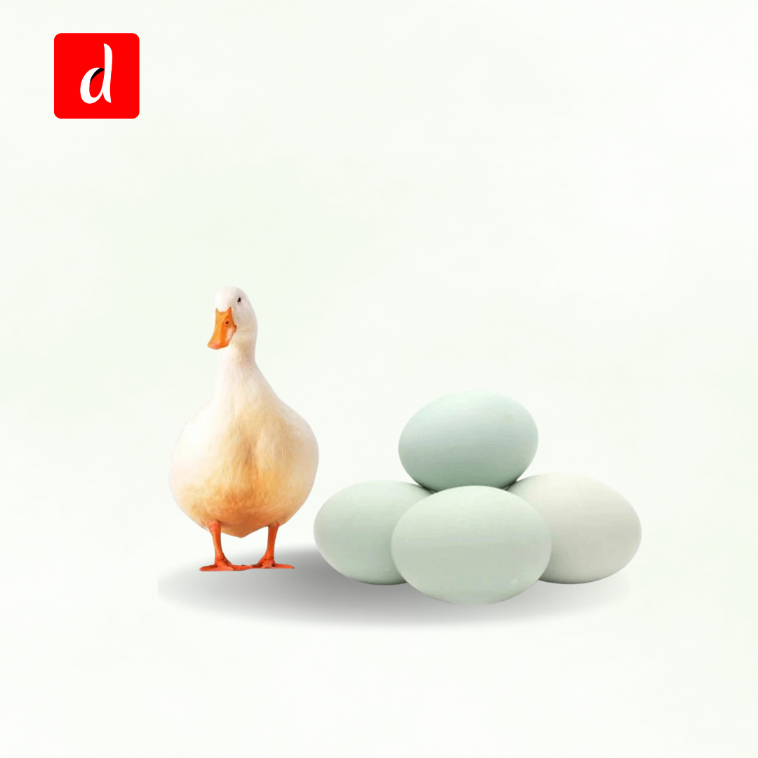 China Duck Egg(হাঁসের ডিম)
